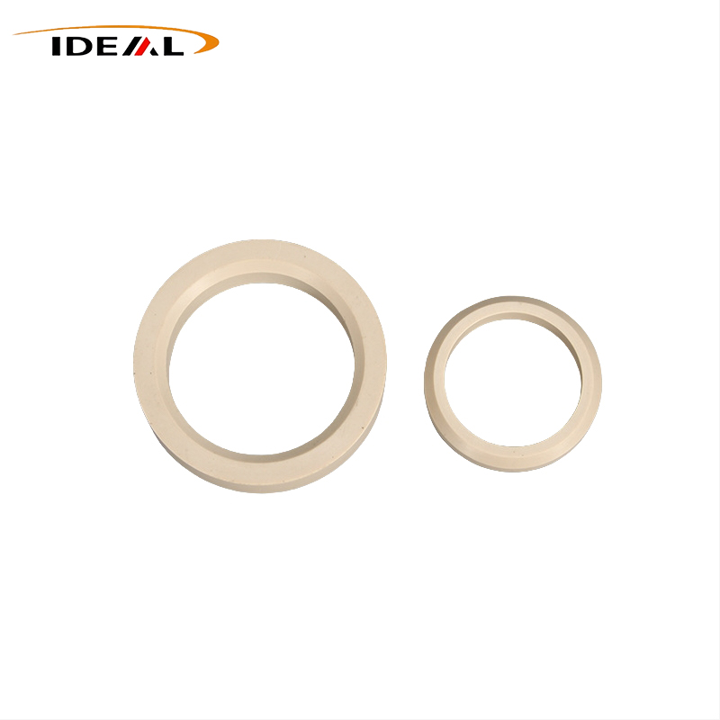 PEEK Gaskets