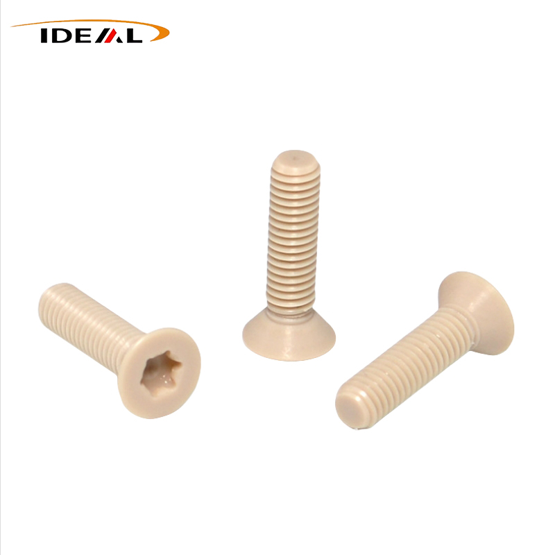 PEEK Torx Screw